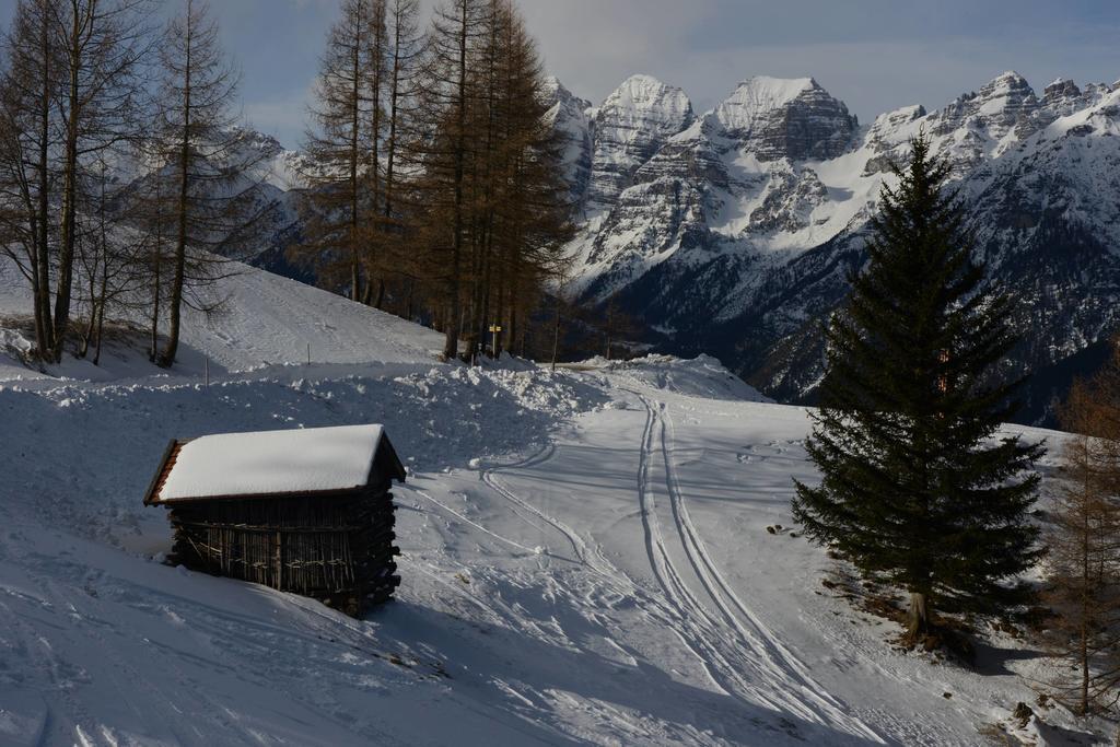 Bed and Breakfast Haus Elisabeth Neustift im Stubaital Exteriér fotografie