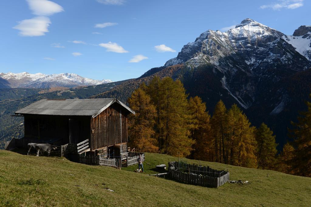 Bed and Breakfast Haus Elisabeth Neustift im Stubaital Exteriér fotografie