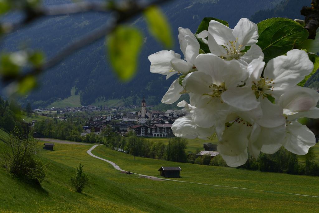 Bed and Breakfast Haus Elisabeth Neustift im Stubaital Exteriér fotografie