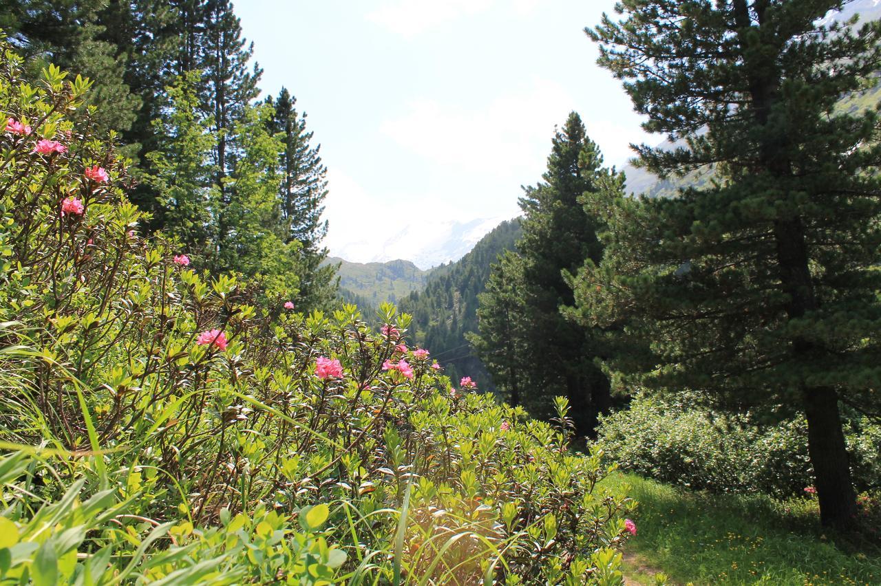 Bed and Breakfast Haus Elisabeth Neustift im Stubaital Exteriér fotografie